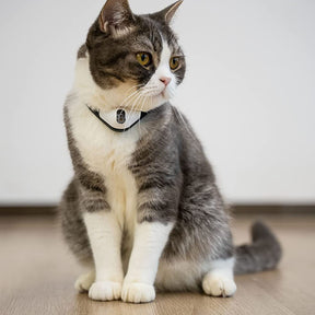 Kitidot Laser Cat Collar